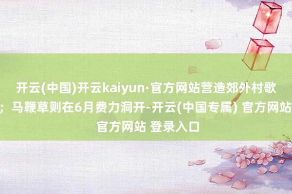 开云(中国)开云kaiyun·官方网站营造郊外村歌般的田地；马鞭草则在6月费力洞开-开云(中国专属) 官方网站 登录入口