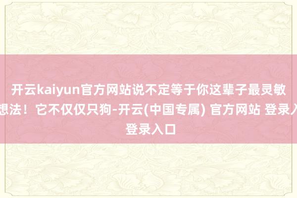 开云kaiyun官方网站说不定等于你这辈子最灵敏的想法！它不仅仅只狗-开云(中国专属) 官方网站 登录入口