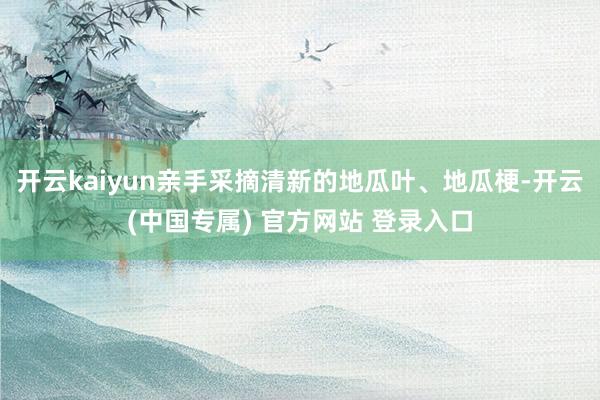 开云kaiyun亲手采摘清新的地瓜叶、地瓜梗-开云(中国专属) 官方网站 登录入口