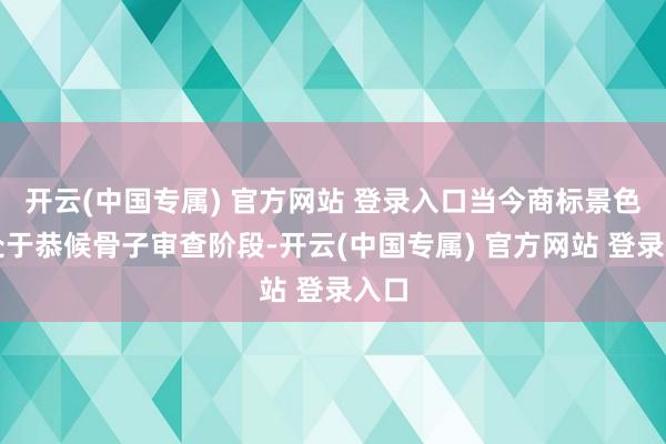 开云(中国专属) 官方网站 登录入口当今商标景色均处于恭候骨子审查阶段-开云(中国专属) 官方网站 登录入口