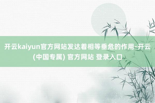 开云kaiyun官方网站发达着相等垂危的作用-开云(中国专属) 官方网站 登录入口
