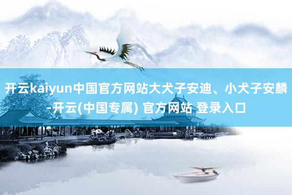 开云kaiyun中国官方网站大犬子安迪、小犬子安麟-开云(中国专属) 官方网站 登录入口