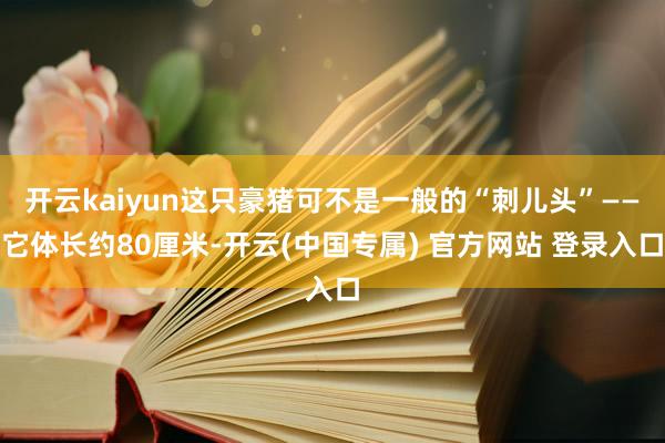 开云kaiyun这只豪猪可不是一般的“刺儿头”——它体长约80厘米-开云(中国专属) 官方网站 登录入口