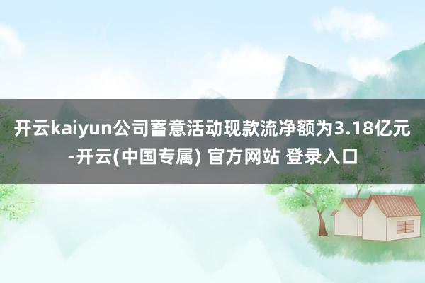 开云kaiyun公司蓄意活动现款流净额为3.18亿元-开云(中国专属) 官方网站 登录入口