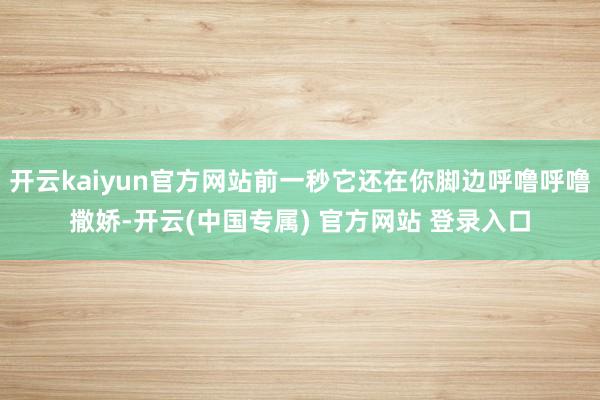 开云kaiyun官方网站前一秒它还在你脚边呼噜呼噜撒娇-开云(中国专属) 官方网站 登录入口