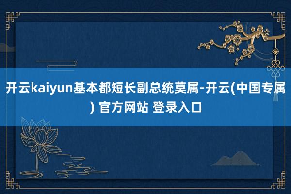 开云kaiyun基本都短长副总统莫属-开云(中国专属) 官方网站 登录入口